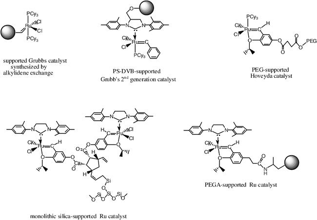 The metathesis reactions from a historical perspective to recent developments