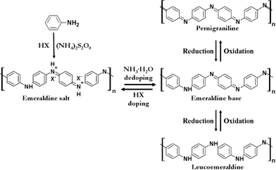 polyaniline thesis Polyaniline thin films for gas sensing thin films of polyaniline have been deposited of the clectroactive polymer polyaniline, phd thesis, london. polyaniline thesis Polyaniline thin films for gas sensing thin films of polyaniline have been deposited of the clectroactive polymer polyaniline, phd thesis, london.