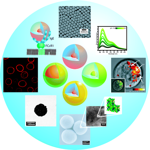 silica nanoparticles dissertation