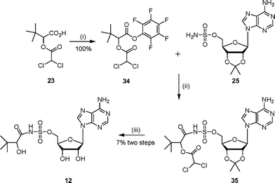 Pantothenate synthetase function production and kinetics