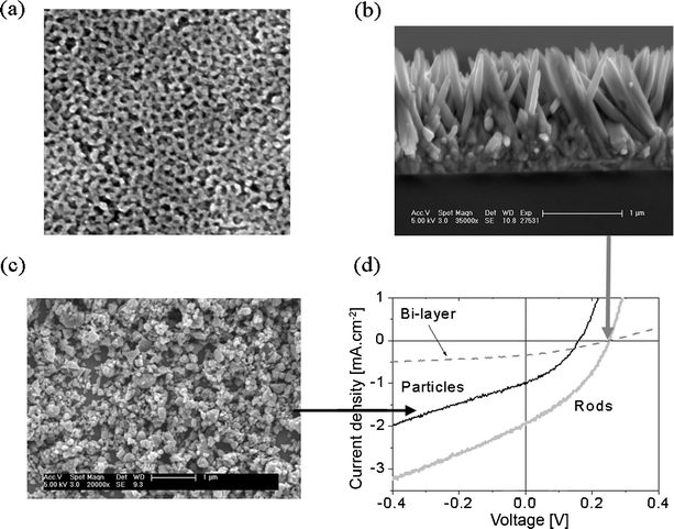 thesis on zno nanoparticles Dissolution and aggregation of zinc oxide nanoparticles at circumneutral ph a study of size effects in a thesis submitted in partial fulfillment. thesis on zno nanoparticles Dissolution and aggregation of zinc oxide nanoparticles at circumneutral ph a study of size effects in a thesis submitted in partial fulfillment.