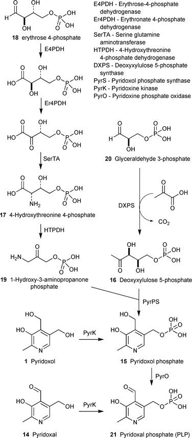 Elucidating biosynthetic pathways for vitamins and cofactors