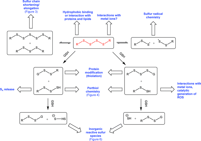 Polysulfide Alchetron, The Free Social Encyclopedia
