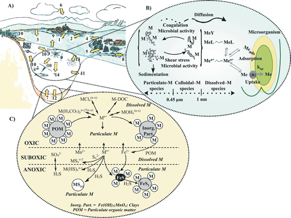 online transplantation in