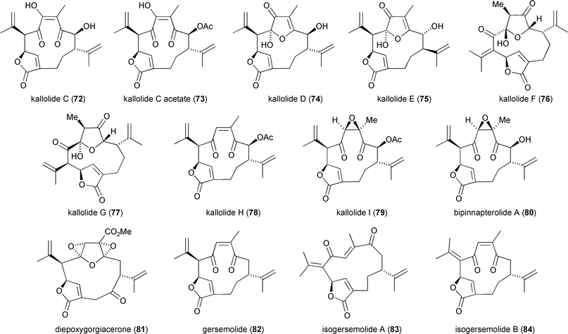 What is the SEO2 Lewis structure?