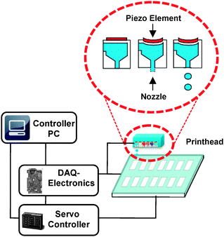synthesis inkjet technology piezoelectric printing dna microarray working head rsc throughput advancing gene