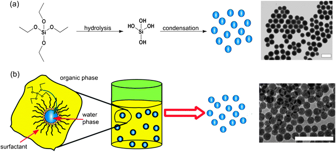 Nissan chemical silica nanoparticles #8