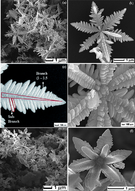 Controlled growth of single-crystalline, nanostructured dendrites and Sns-Brigh10