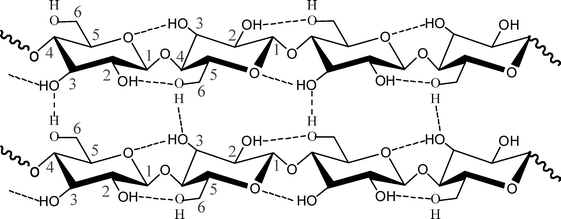 Schematic structure and numbering of cellulose.