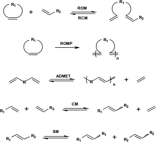 Ring opening metathesis polymerization mechanism