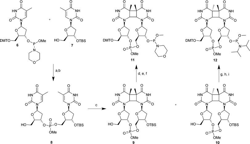 Scheme 2 Synthesis of cissyn