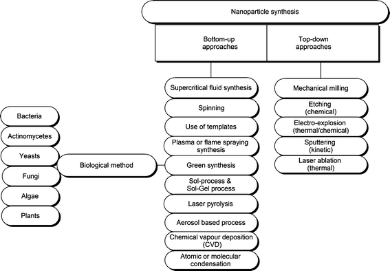 synthesis of gold nanoparticles biology essay Single-phase approaches are introduced for the synthesis of nearly monodisperse au and other noble metal nanocrystals the new approaches possess all the advantages. synthesis of gold nanoparticles biology essay Single-phase approaches are introduced for the synthesis of nearly monodisperse au and other noble metal nanocrystals the new approaches possess all the advantages.