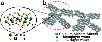 Resultado de imagen para nano-structured calcium silicates