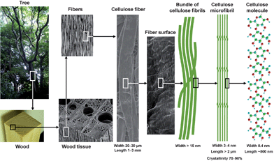 Thesis on electrospinning
