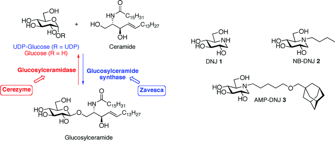 serophene and alcohol predicative serophene and alcohol predicative