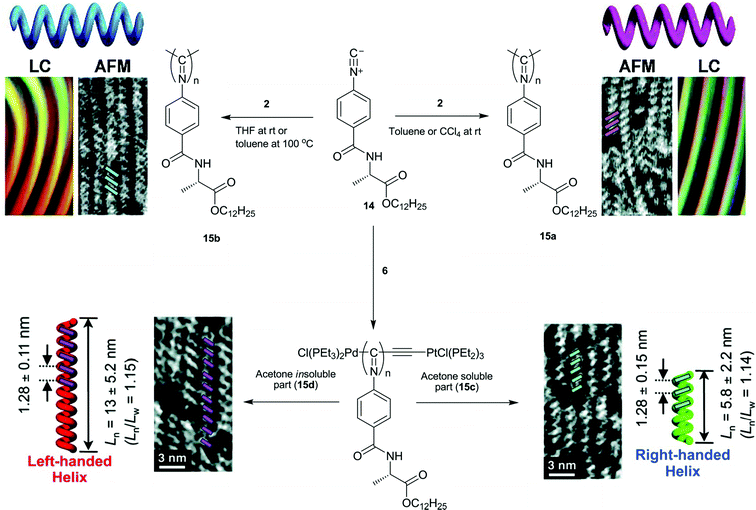 helical poly(isocyanides): past, present and future