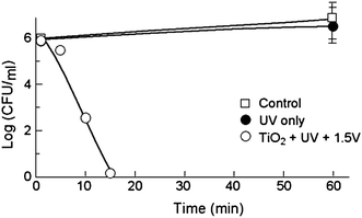 what does terbinafine hcl treat