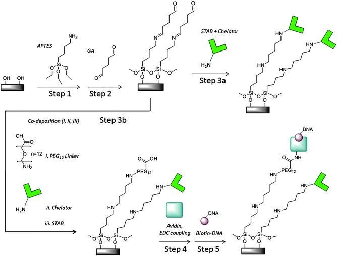 Labelfree electrical detection of pyrophosphate generated from DNA