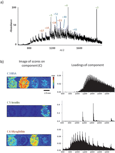 protein mass analysis