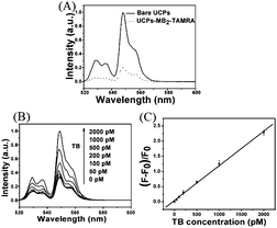 (A) Up-converting fluorescence of bare UCPs (0.066 mg mL−1