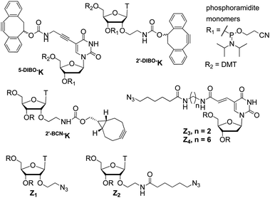 Functional Group Chemistry RSC Publishing James R Hanson