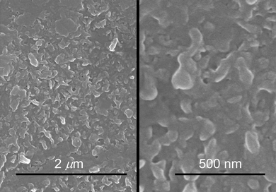 SEM at two different magnifications of a VDOT-EDOT film obtained by the process of Schemes 2 and 3.