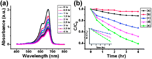 (a) Absorption spectrum of methylene blue (MB) solution in the presence of ZnS:Ga nanowalls under exposure to UV light for various durations. The decrease in the intensity of absorbance peaks at 664 nm is attributed to the decomposition of MB. (b) Variation with time of photodegradation of MB under different conditions: (a) ZnS:Ga nanowalls, dark, (b) without catalysts, under UV light, (c) ZnS:Ga film, under UV light, (d) P25 TiO2 film, under UV light, and (e) ZnS:Ga nanowalls, under UV light. The inset in (b) shows the data plotted into logarithmic scale. The data fit well with the equation of first order reaction kinetics.11