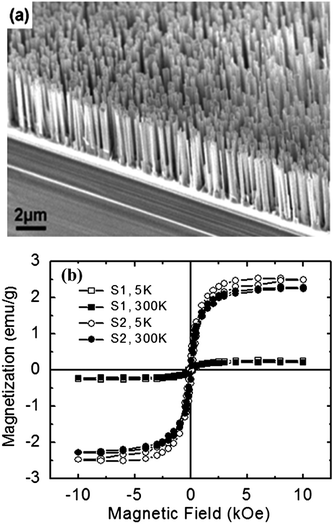 (a) SEM image of vertically aligned Cu-doped ZnO nanowires grown on a sapphire substrate. (b) Magnetic hysteresis loops measured at 5 K and 300 K for Cu-doped ZnO nanowires with homogeneous (S1) and inhomogeneous (S2) dopant distributions. Copyright 2008 Wiley-VCH, reproduced from ref. 55 with permission.