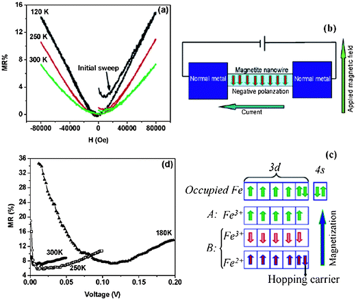 (a) MR of individual Fe3O4 nanowires measured at different temperatures. (b) Schematic of the device. (c) FM order of Fe3O4, where the minority carriers are responsible for the transport. (d) Bias dependence of MR for the Fe3O4 nanowire-based devices. Copyright 2006 American Chemical Society, reproduced from ref. 122 with permission.