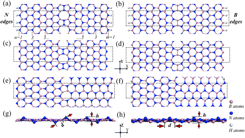 geometrical structures of boron nitride nanoribbons with 1-d