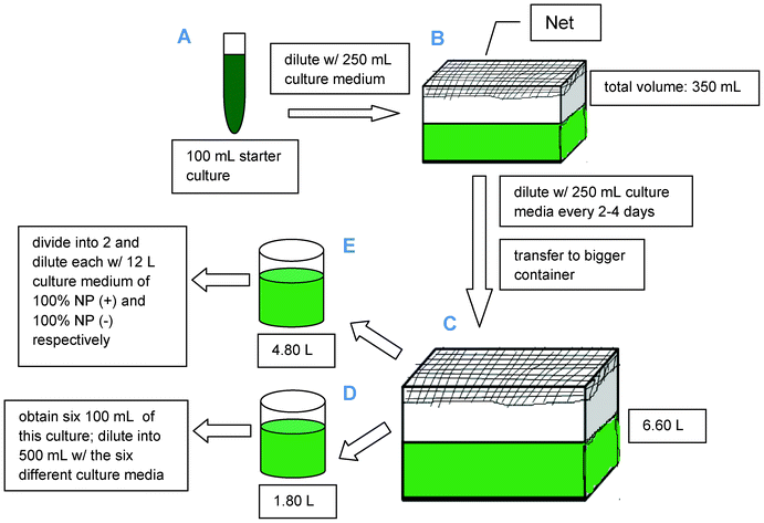 Investigations on microalgal oil production from Arthrospira platensis