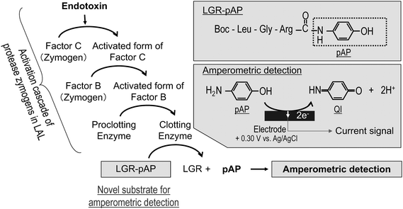 Endotoxin assay sigma