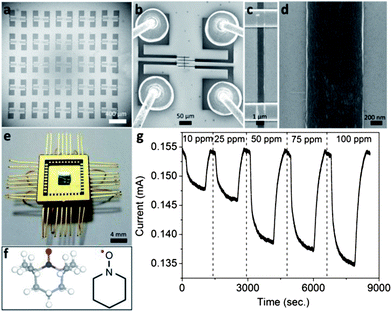 (a–d) The scanning electron microscope (SEM) images of the experimental setup for assembled SWCNT array devices. (e) An optical image of wafer scale sensor devices. (f) Chemical structure of TEMPO molecules. (g) Real-time current changes as a function of concentration of H2S gas at 10, 25, 50, 75 and 100 ppm for the functionalized SWCNT sensor.