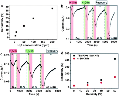 Sensitivity and real-time current measurements for detection of H2S gas. (a) Sensitivity of a bare s-SWCNT device as a function of H2S concentration. Real-time current measurement of (b) a bare s-SWCNT device and (c) a device functionalized with TEMPO as a function of RH. (d) Sensitivity of B and C. In the range of current reduction of B and C, red and green areas mean injection of H2S and H2O molecules respectively, and the increase of current indicates recovery into the initial current value of each RH.