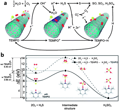 (a) Schematic of redox reactions of H2S on p-doped CNT (due to, for example, O2 adsorption) with TEMPO functionalization in the presence of H2O. See the text for detailed description of the reactions. (b) A schematic diagram of the energy profiles along the reaction coordinates exhibiting an activation barrier (Ea) in the chemical reactions. The dashed line with triangles represents the energy profile of the chemical reactions between H2S and O2 molecules without TEMPO, while the solid line with circles does the same with TEMPO. The energies of initial structures and final structures are the sum of the energies of isolated component molecules. TEMPO takes a part in the reaction as a catalyst resulting in the diminution of the activation barrier by about 34%. Molecular structures in the chemical reactions are shown as the inset, where the red dots represent oxygen atoms, the yellow ones sulfur, and the white one hydrogen.