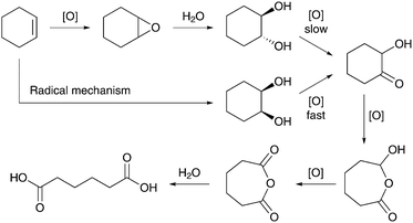 oxidation of cyclohexanone to adipic acid It is used as an industrial solvent and activator in oxidation reactions it is used in the production of adipic acid, cyclohexanone resins, cyclohexanone oxime . oxidation of cyclohexanone to adipic acid It is used as an industrial solvent and activator in oxidation reactions it is used in the production of adipic acid, cyclohexanone resins, cyclohexanone oxime .