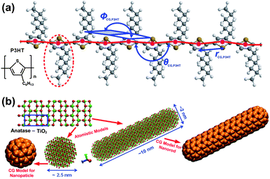 (a) Atomistic structure of a P3HT chain and the CG model employed herein. Red beads represent CG particles of P3HT; the red-dashed line highlights the P3HT repeat unit; all CG intramolecular degrees of freedom (CG bond length, rCG,P3HT; CG bond angle, θCG,P3HT; CG dihedral angle, φCG,P3HT) are displayed in blue. (b) Upper left panel: atomistic structure of anatase TiO2; the blue box highlights the anatase unit cell. Lower left panel: atomistic structure and corresponding CG model of a TiO2 NP; lower right panel: atomistic structure and corresponding CG model of a TiO2 NR.