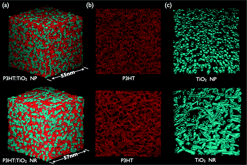 (a) 3D Morphologies of P3HT:TiO2 NP (upper panel) and NR (lower panel) blends; P3HT chains and nanocrystals are colored red and blue, respectively. Organization of (b) P3HT chains and (c) nanocrystals in P3HT:TiO2 NP (upper panel) and NR (lower panel) blends with blending ratio 1 : 1.