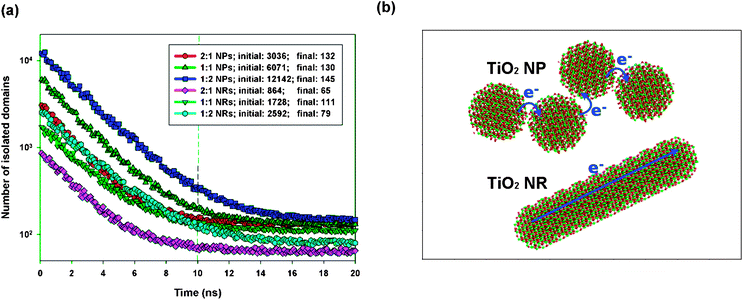 (a) Time lapse of the number of NP/NR domains. (b) Schematic representation of electron transport in NP (upper panel) and NR (lower panel) domains.