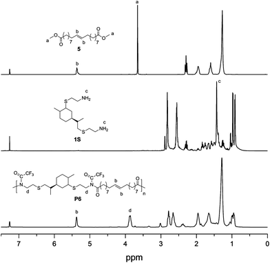 Nominative Nylon 12