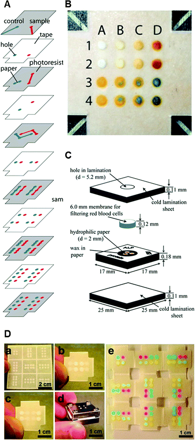 Alkaline phosphatase thesis