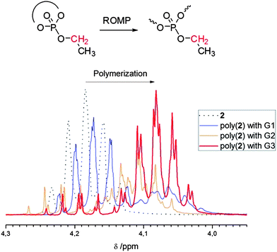 metathesis oligomerization metathesis oligomerization