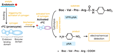 Dejan susa thesis 03 picture