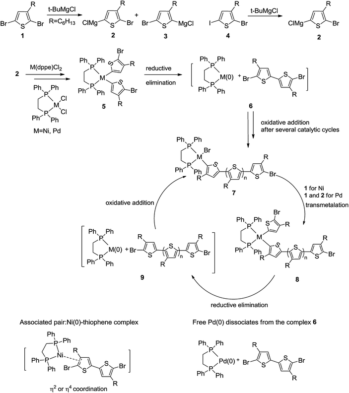 grignard metathesis reaction Complications in metathesis reactions involving grignard reagents: effect of solvent on products obtained from the interaction of phmgbr with gacl 3 or inbr 3. grignard metathesis reaction Complications in metathesis reactions involving grignard reagents: effect of solvent on products obtained from the interaction of phmgbr with gacl 3 or inbr 3.