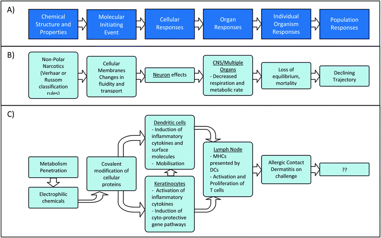 The Role Of Chemistry In Developing Understanding Of Adverse Outcome Pathways And Their 3759