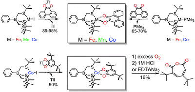 Five-coordinate M II -semiquinonate (M = Fe, Mn, Co) complexes ...