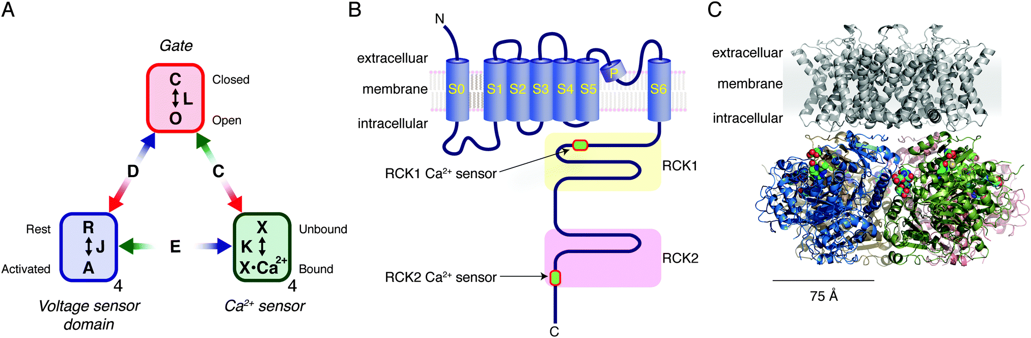 carbonmonoxide,carbondioxide carbon monoxide – physiology, detection and controlled release