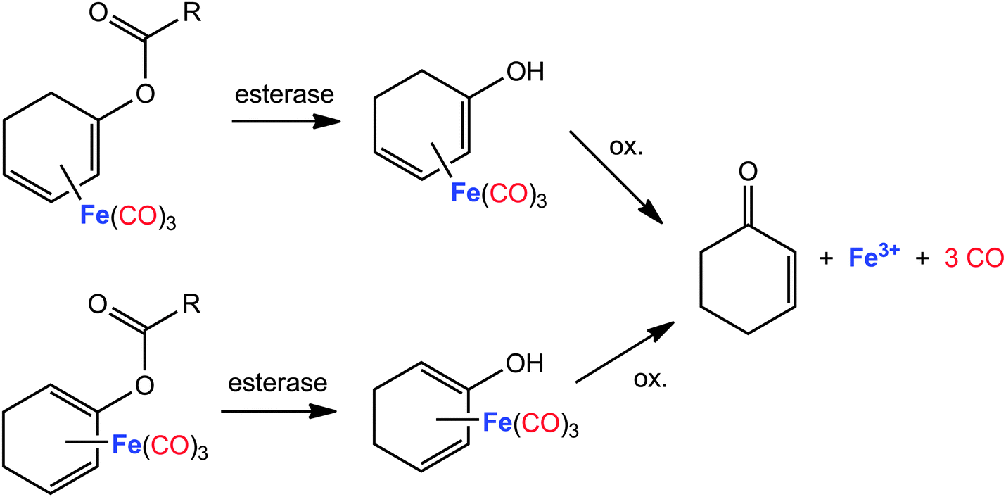 carbonmonoxide,carbondioxide carbon monoxide – physiology, detection and controlled release