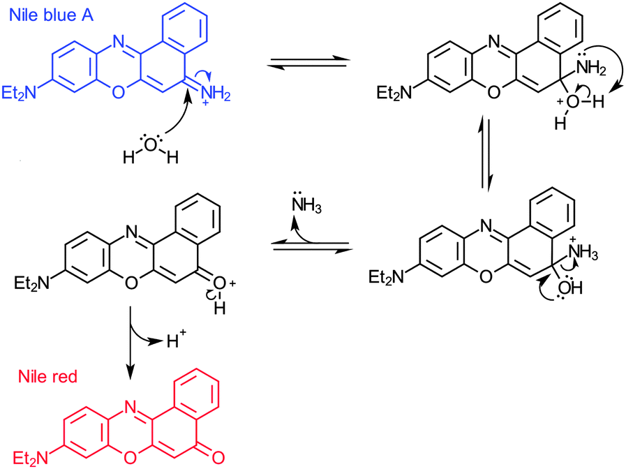 Nile blue Alchetron, The Free Social Encyclopedia