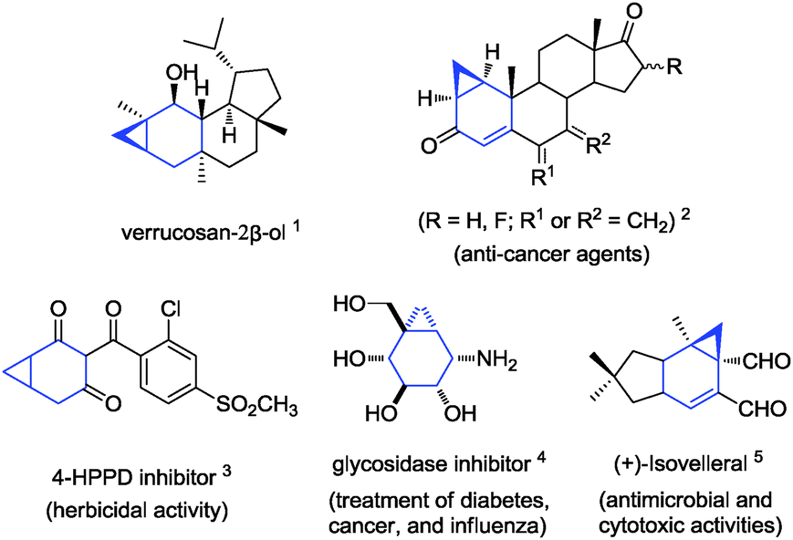 Bicyclo Compounds